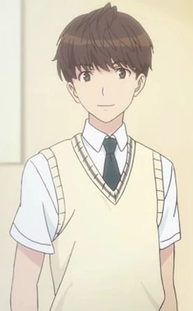 Mamoru Aikawa (Anime)