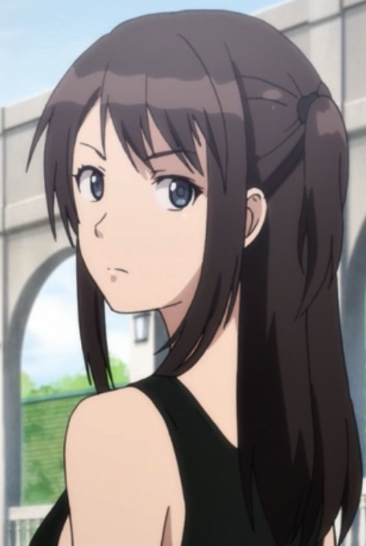 Mamoru Aikawa (Anime)