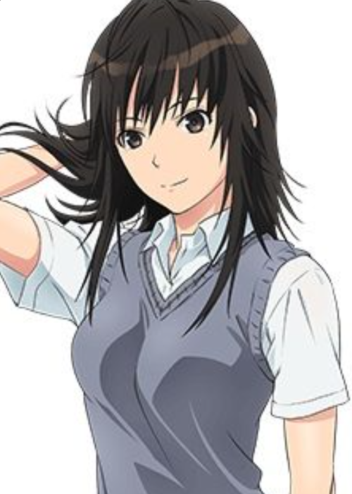 Mamoru Aikawa (Anime)