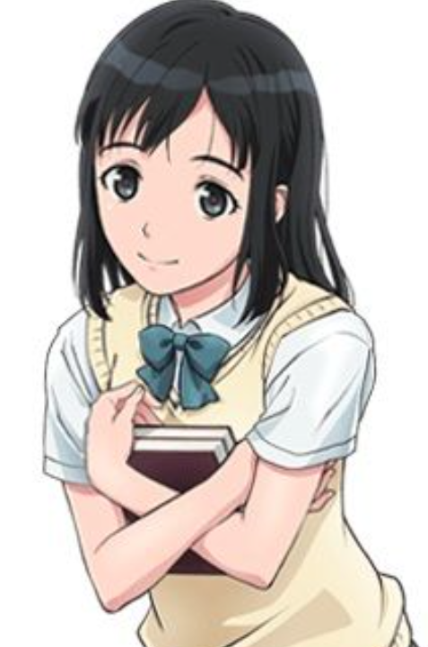 Mamoru Aikawa (Anime)