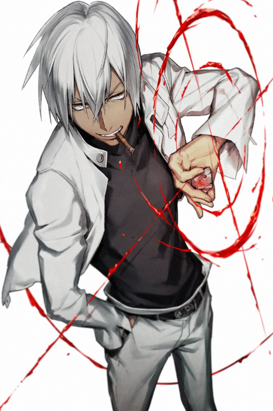Mamoru Aikawa (Anime)