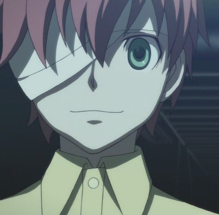 Mamoru Aikawa (Anime)