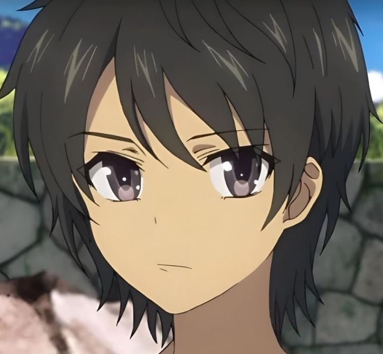 Mamoru Aikawa (Anime)