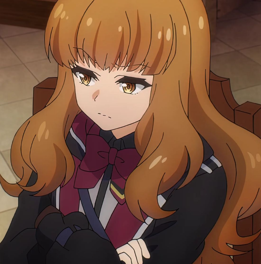 Mamoru Aikawa (Anime)