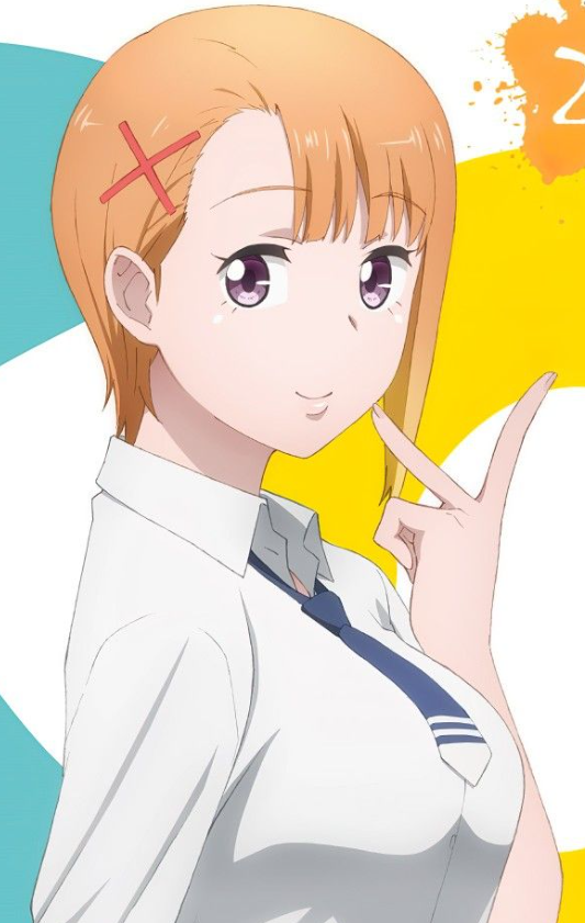 Mamoru Aikawa (Anime)