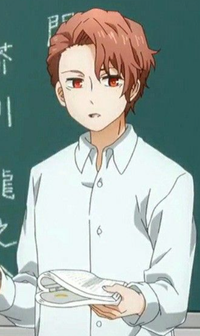 Mamoru Aikawa (Anime)