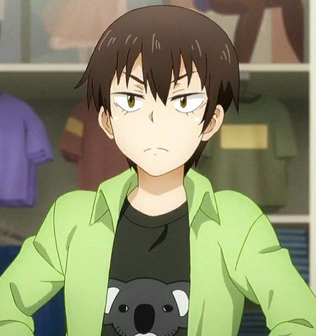 Mamoru Aikawa (Anime)