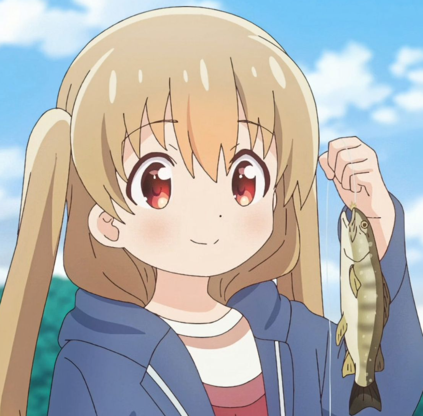 Mamoru Aikawa (Anime)