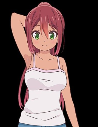 Mamoru Aikawa (Anime)