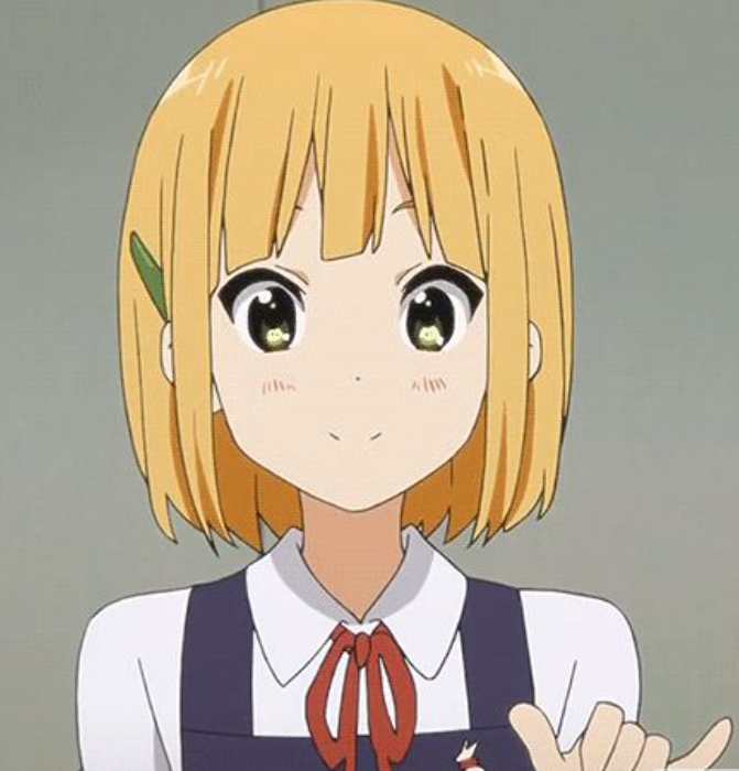 Mamoru Aikawa (Anime)