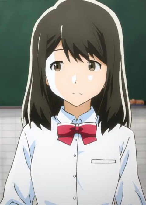Mamoru Aikawa (Anime)