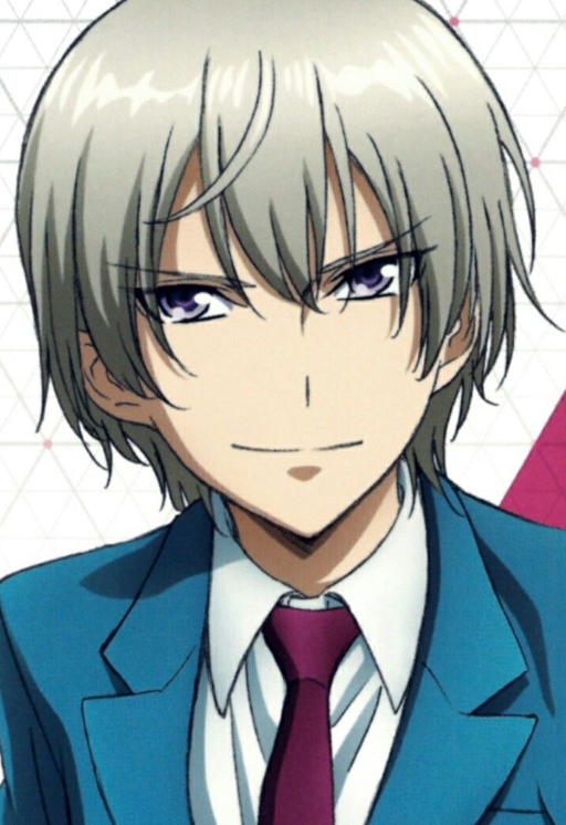 Mamoru Aikawa (Anime)