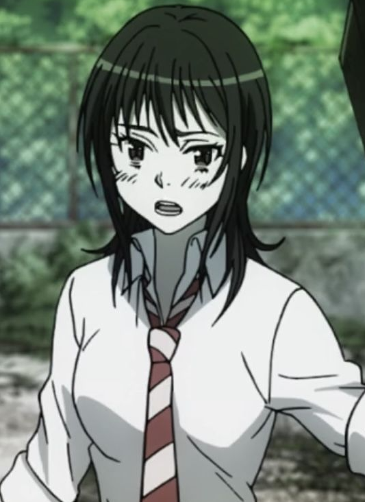 Mamoru Aikawa (Anime)