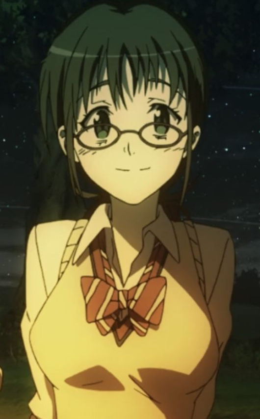 Mamoru Aikawa (Anime)