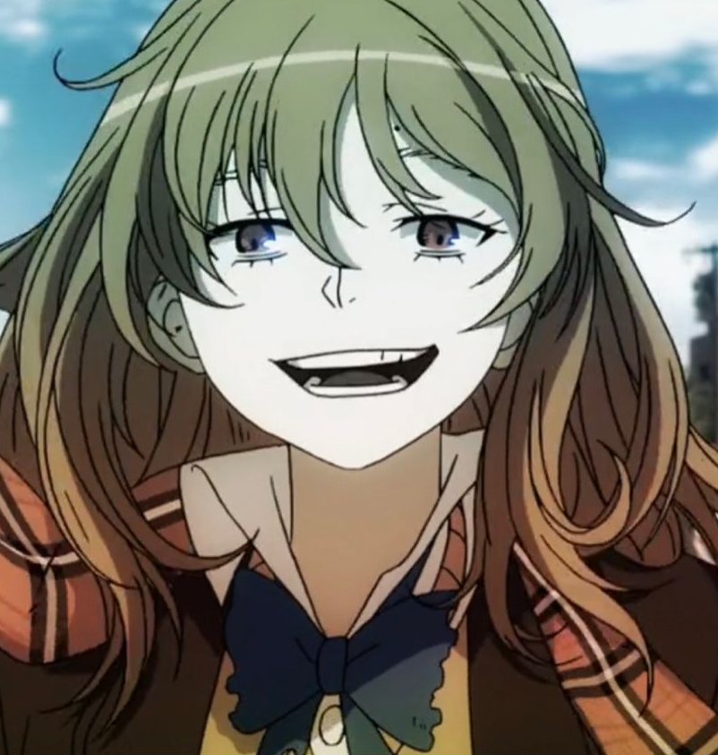 Mamoru Aikawa (Anime)