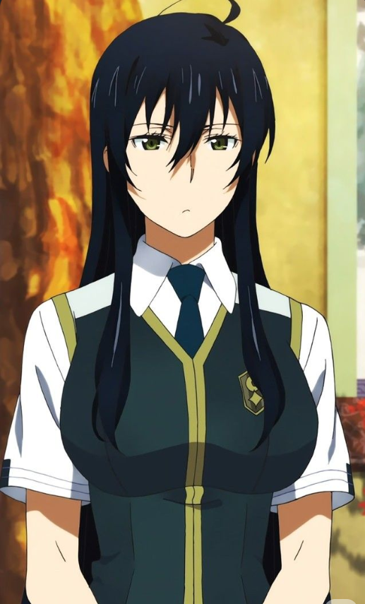 Mamoru Aikawa (Anime)