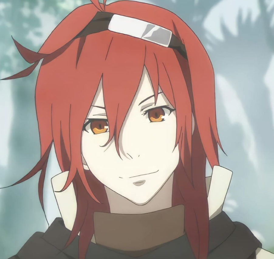 Mamoru Aikawa (Anime)