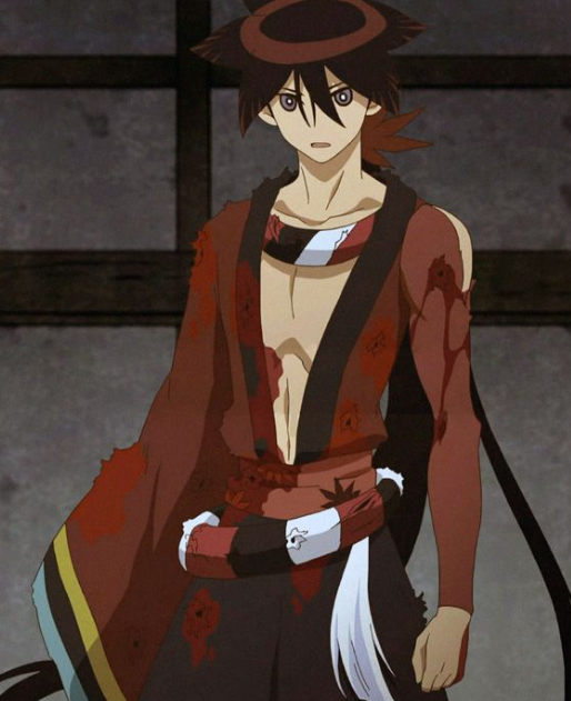 Mamoru Aikawa (Anime)