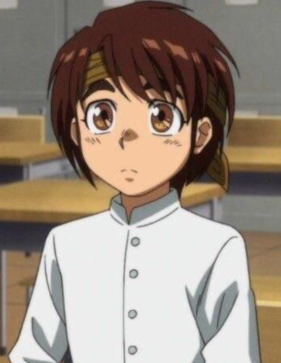 Mamoru Aikawa (Anime)