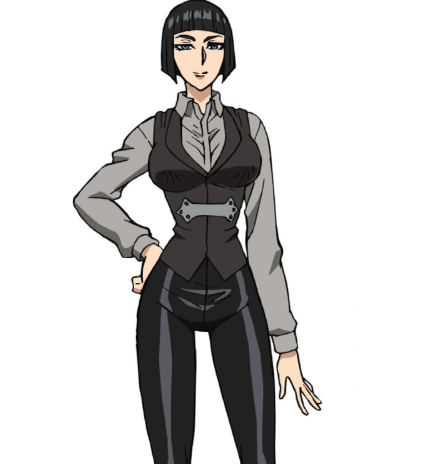 Mamoru Aikawa (Anime)