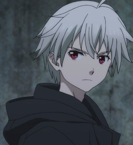 Mamoru Aikawa (Anime)