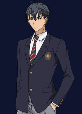 Mamoru Aikawa (Anime)