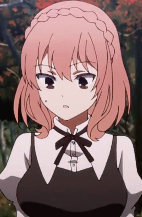 Mamoru Aikawa (Anime)