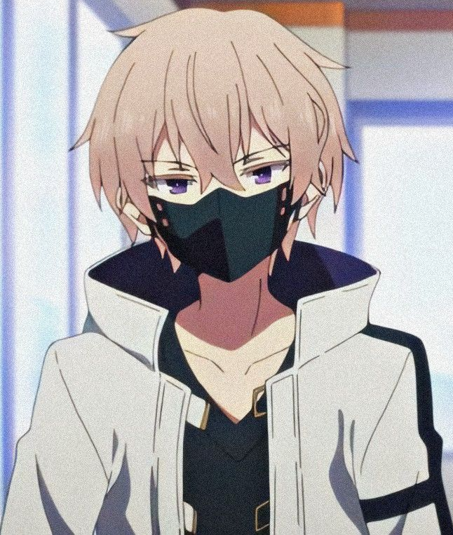 Mamoru Aikawa (Anime)