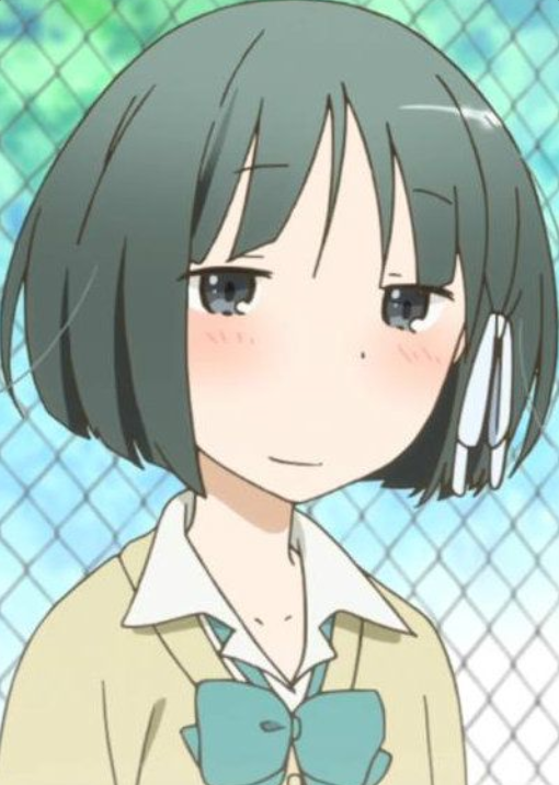 Mamoru Aikawa (Anime)