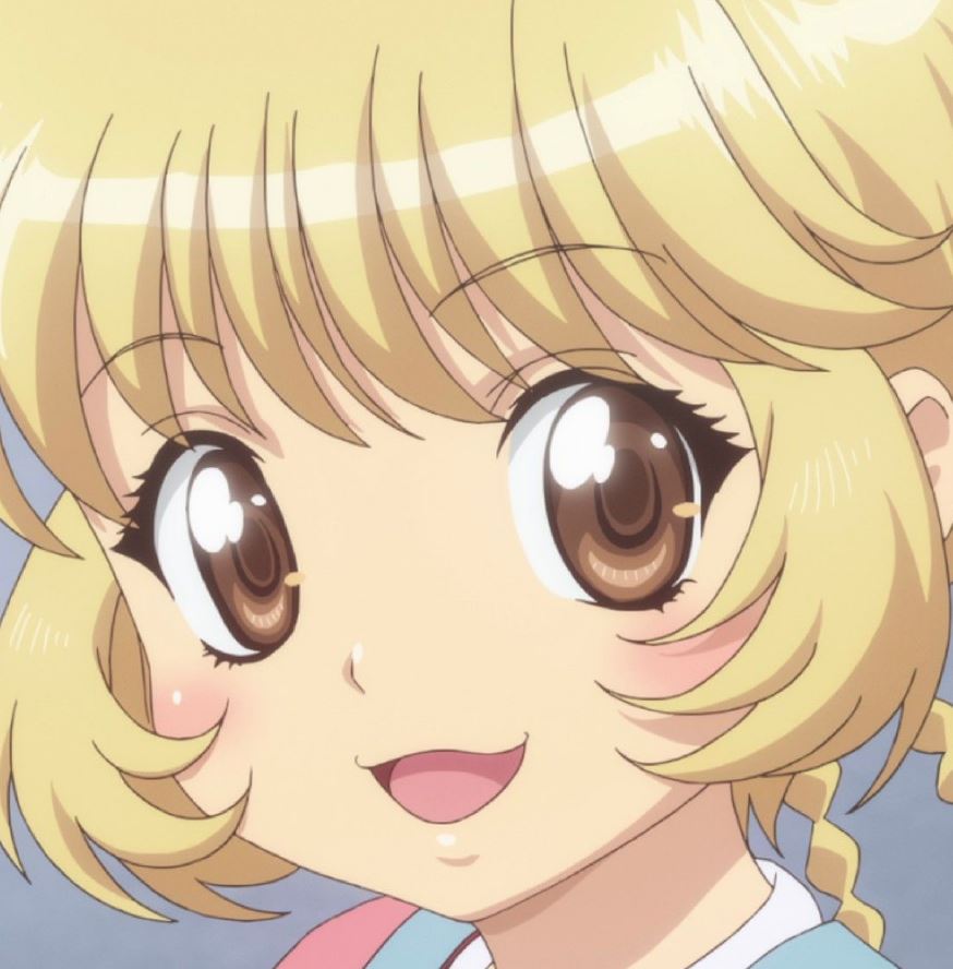 Mamoru Aikawa (Anime)