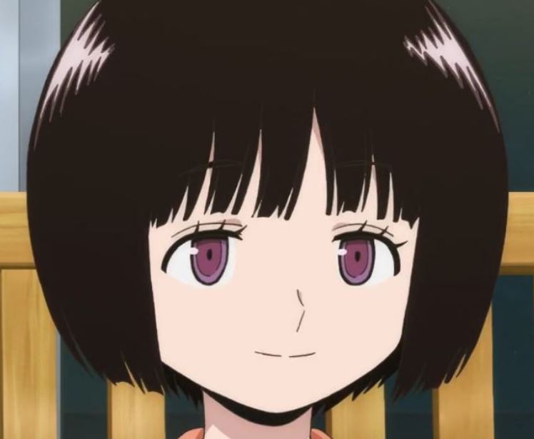 Mamoru Aikawa (Anime)