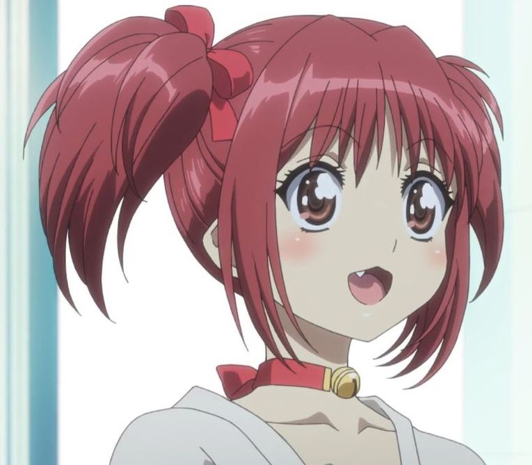 Mamoru Aikawa (Anime)