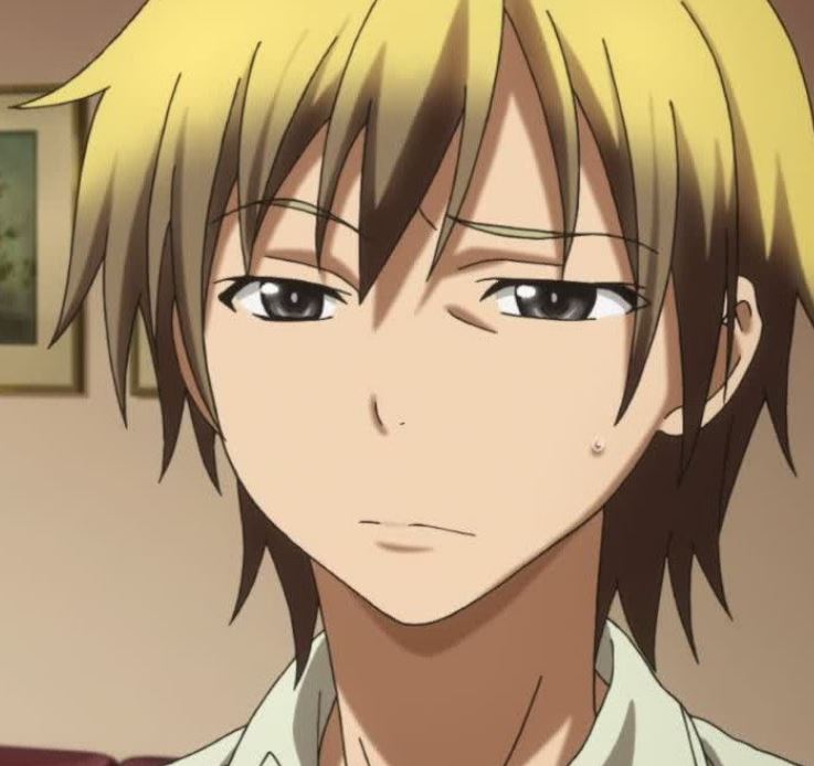 Mamoru Aikawa (Anime)