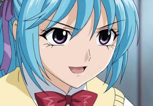 Mamoru Aikawa (Anime)