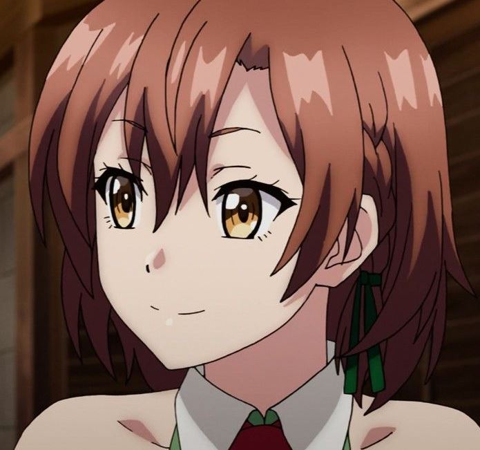 Mamoru Aikawa (Anime)