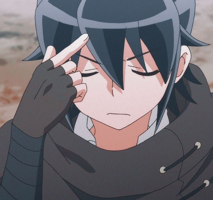 Mamoru Aikawa (Anime)