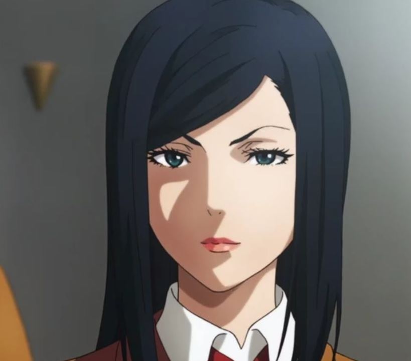 Mamoru Aikawa (Anime)