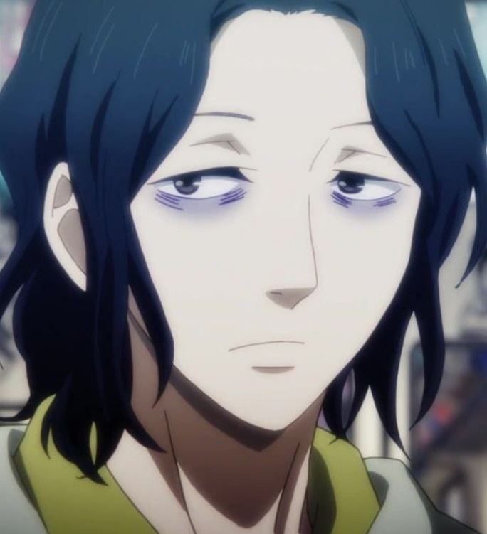 Mamoru Aikawa (Anime)