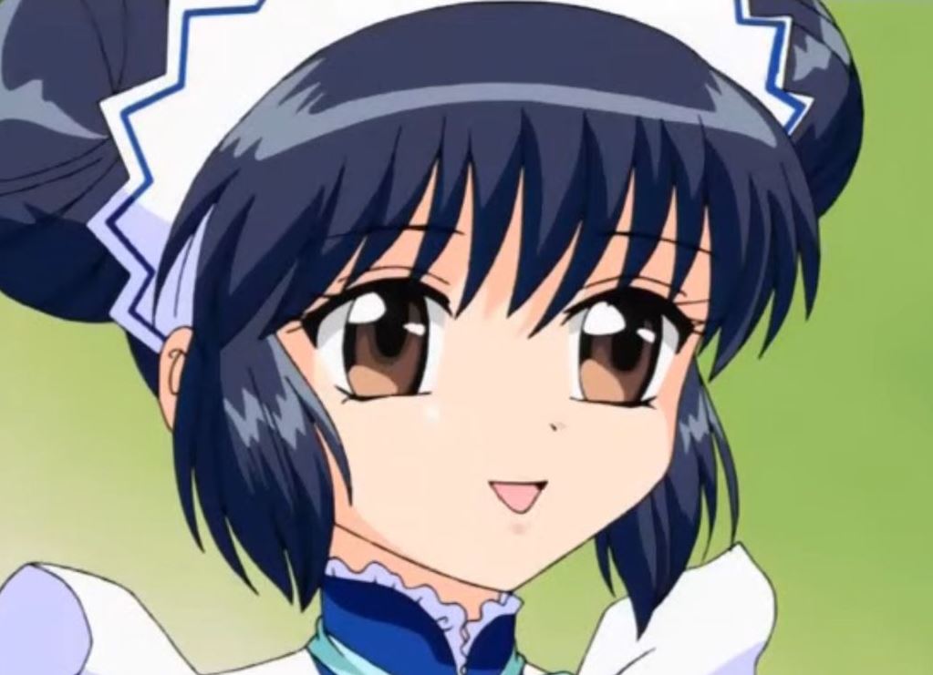 Mamoru Aikawa (Anime)