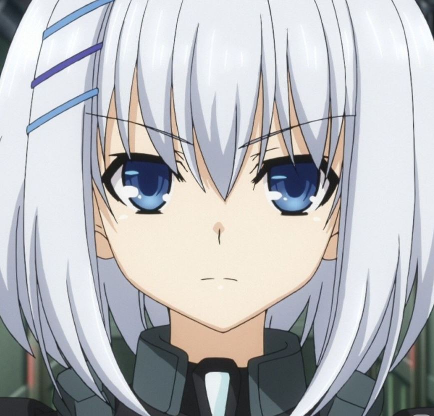 Mamoru Aikawa (Anime)