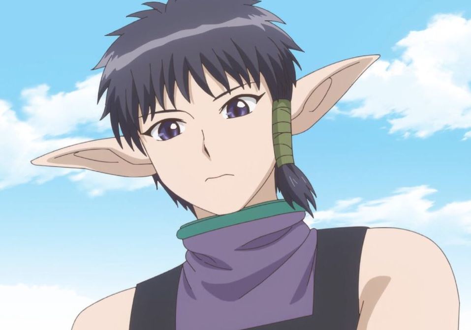 Mamoru Aikawa (Anime)