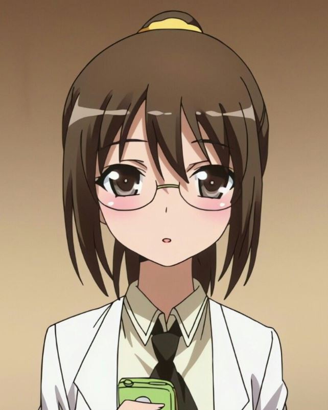 Mamoru Aikawa (Anime)