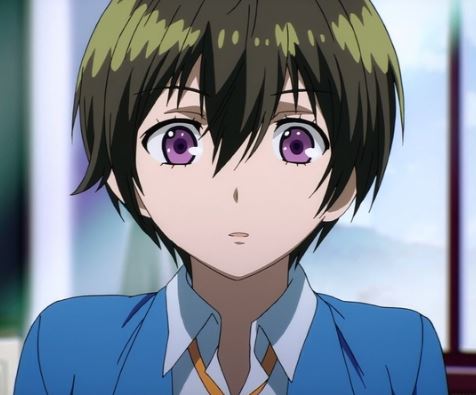 Mamoru Aikawa (Anime)