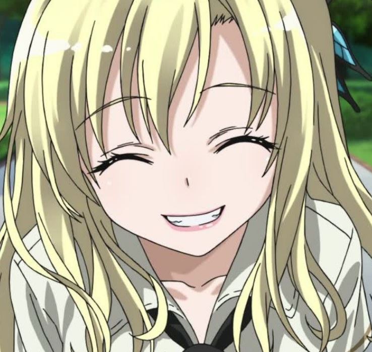 Mamoru Aikawa (Anime)