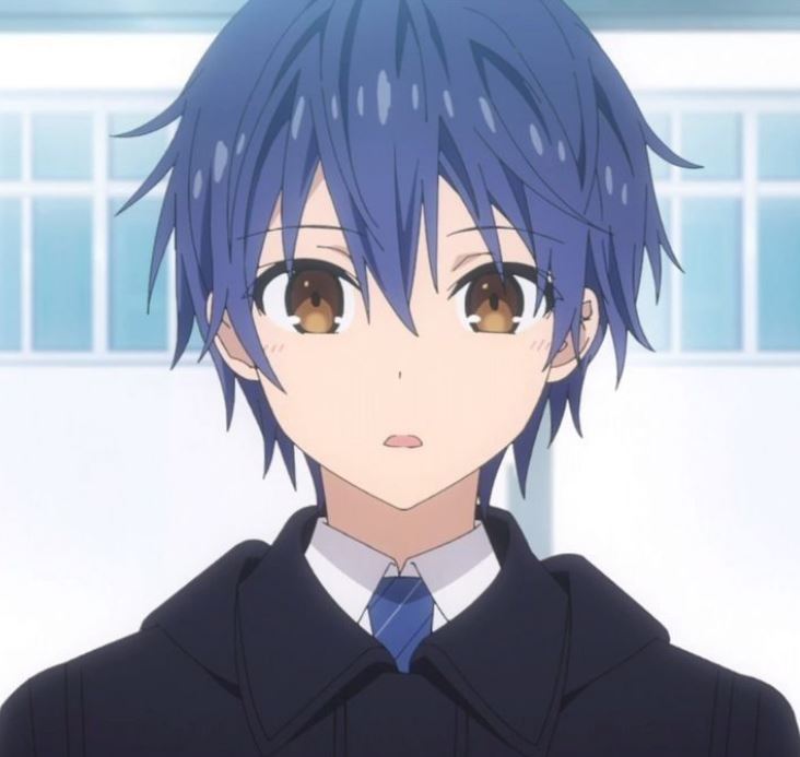 Mamoru Aikawa (Anime)