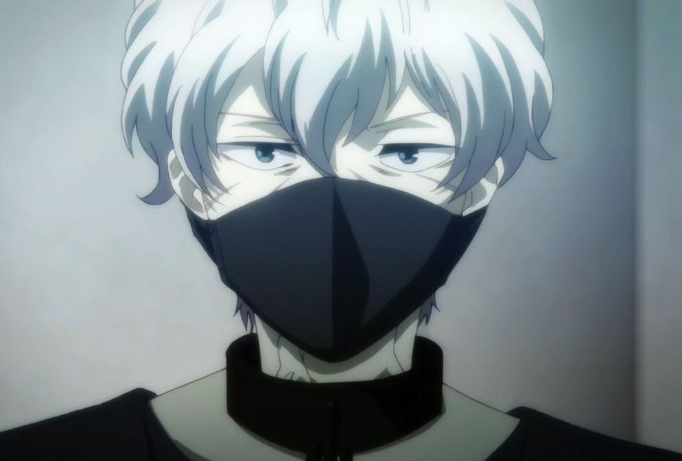 Mamoru Aikawa (Anime)