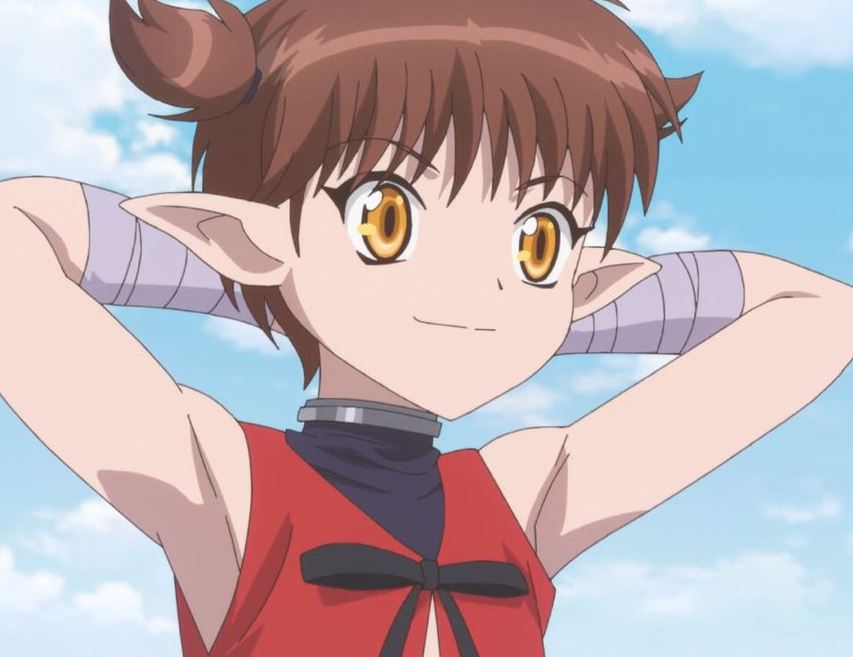 Mamoru Aikawa (Anime)