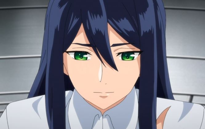 Mamoru Aikawa (Anime)