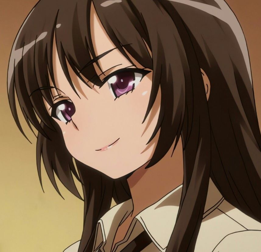 Mamoru Aikawa (Anime)