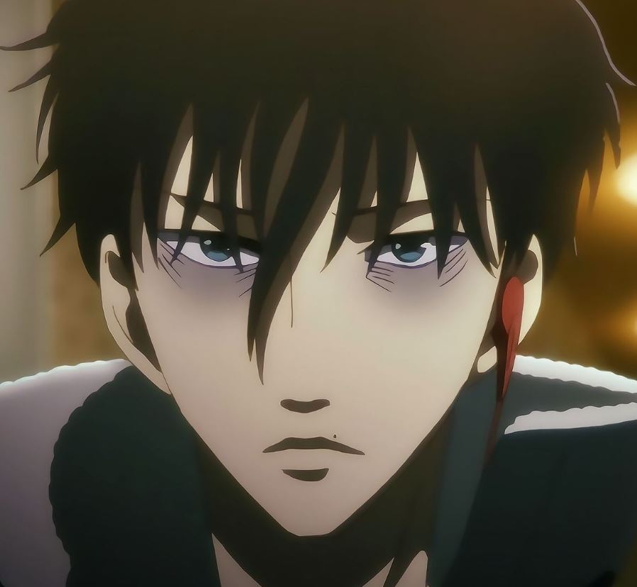 Mamoru Aikawa (Anime)